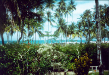 Puerto Viejo, Costa Rica - View from my front porch