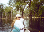 Brazil - the Amazon